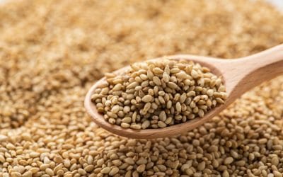 Sesame